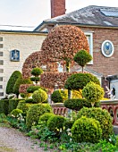 THE LASKETT GARDENS, HEREFORDSHIRE. DESIGNER ROY STRONG - THE MAIN DRIVEWAY, CLIPPED TOPIARY, HOUSE, SPRING, APRIL