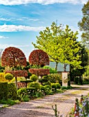 THE LASKETT GARDENS, HEREFORDSHIRE. DESIGNER ROY STRONG - THE MAIN DRIVEWAY, CLIPPED TOPIARY, SPRING, APRIL