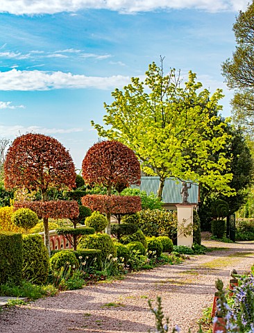 THE_LASKETT_GARDENS_HEREFORDSHIRE_DESIGNER_ROY_STRONG__THE_MAIN_DRIVEWAY_CLIPPED_TOPIARY_SPRING_APRI