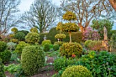 THE LASKETT GARDENS, HEREFORDSHIRE. DESIGNER ROY STRONG - THE SERPENTINE WALK, CLIPPED TOPIARY HOLLIES, MAGNOLIA, STATUES, SPRING, APRIL