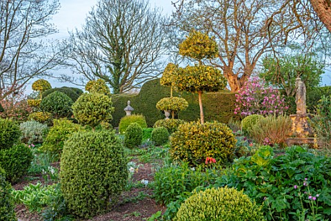 THE_LASKETT_GARDENS_HEREFORDSHIRE_DESIGNER_ROY_STRONG__THE_SERPENTINE_WALK_CLIPPED_TOPIARY_HOLLIES_M