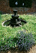 FOUNTAIN IN THE CENTRE OF CAMOMILE LAWN IN FLOWER AT THE TUDOR HOUSE GARDEN  SOUTHAMPTON  HAMPSHIRE.