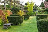 THE LASKETT GARDENS, HEREFORDSHIRE. DESIGNER ROY STRONG - LAWN, YEW TOPIARY, STONE BENCH, APRIL, SPRING, PLEACHED LIMES