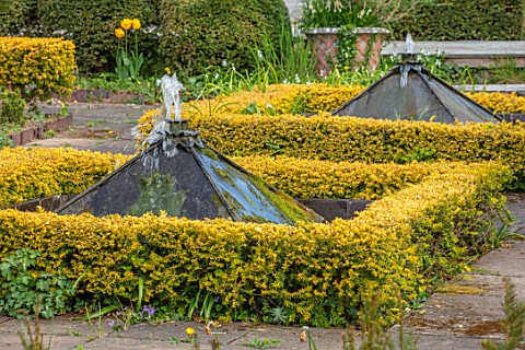 THE_LASKETT_GARDENS_HEREFORDSHIRE_DESIGNER_ROY_STRONG__THE_HOWDAH_COURT_CLIPPED_TOPIARY_FORMAL_GARDE