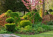 THE LASKETT GARDENS, HEREFORDSHIRE. DESIGNER ROY STRONG - LAWN, YEW, TOPIARY, APRIL, SPRING, PINK FLOWERING, BLOOMING CHERRY BLOSSOM, FLOWERS
