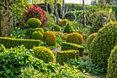 THE LASKETT GARDENS, HEREFORDSHIRE. DESIGNER ROY STRONG - THE SERPENTINE WALK, CLIPPED TOPIARY YEW, BOX, HOLLY, BEECH, PRIVET, GREEN, SPRING, APRIL