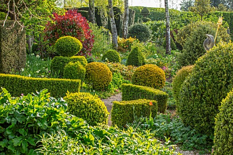 THE_LASKETT_GARDENS_HEREFORDSHIRE_DESIGNER_ROY_STRONG__THE_SERPENTINE_WALK_CLIPPED_TOPIARY_YEW_BOX_H
