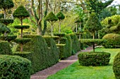 THE LASKETT GARDENS, HEREFORDSHIRE. DESIGNER ROY STRONG - LAWN, YEW, TOPIARY, APRIL, SPRING, HEDGES, HEDGING, GREEN