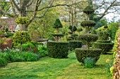 THE LASKETT GARDENS, HEREFORDSHIRE. DESIGNER ROY STRONG - LAWN, YEW, HOLLY, ILEX, OPIARY, APRIL, SPRING