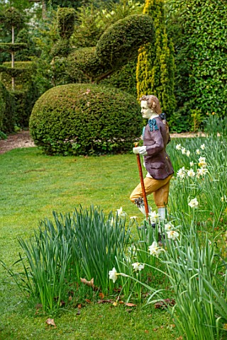 THE_LASKETT_GARDENS_HEREFORDSHIRE_DESIGNER_ROY_STRONG__GARDENE_STATUE_ON_LAWN_WITH_CLIPPED_TOPIARY_Y