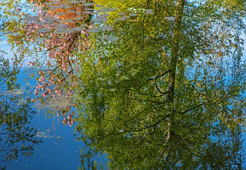 MORTON_HALL_GARDENS_WORCESTERSHIRE_THE_STROLL_GARDEN_POOL_POND_WATER_LOWER_POND_REFLECTIONS_REFLECTE