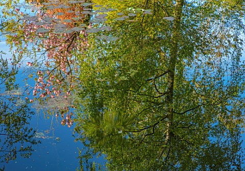 MORTON_HALL_GARDENS_WORCESTERSHIRE_THE_STROLL_GARDEN_POOL_POND_WATER_LOWER_POND_REFLECTIONS_REFLECTE