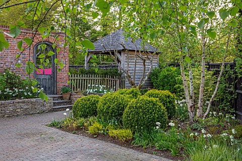 LITTLE_ORCHARDS_SURREY_DESIGNER_NIC_HOWARD_FRONT_GARDEN_DRIVE_APRIL_SPRING_BIRCH_CLIPPED_TOPIARY_BOX