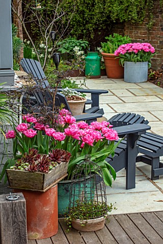 LITTLE_ORCHARDS_SURREY_DESIGNER_NIC_HOWARD_PATIO_COURTYARD_DECKING_SPRING_APRIL_COPPER_CONTAINER_WIT