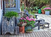 LITTLE ORCHARDS, SURREY, DESIGNER NIC HOWARD: PATIO, COURTYARD, DECKING, SPRING, APRIL, COPPER CONTAINER WITH TULIPA MAMA MIA, CHAIRS, LOUNGERS, CONTAINERS