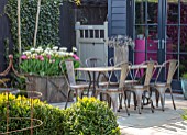 LITTLE ORCHARDS, SURREY, DESIGNER NIC HOWARD: HOME OFFICE, CLIPPED BOX HEDGES, HEDGING, TABLE, CHAIRS, METAL CONTAINER WITH TULIPS, SPRING, APRIL, PATIO, COURTYARD