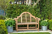 LITTLE ORCHARDS, SURREY, DESIGNER NIC HOWARD: CLIPPED BOX HEDGES, HEDGING, SPRING, APRIL, WOODEN BENCH, CONTAINERS WITH TULIPA SPRING GREEN, FENCE, FENCING