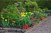 MORTON HALL GARDENS, WORCESTERSHIRE: KITCHEN GARDEN, RED AND YELLOW TULIPS, APRIL, SPRING, TULIPA YELLOW SPRING GREEN, TULIPA UNCLE TOM, FLOWERING, BLOOMING
