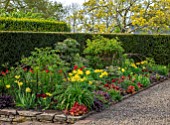 MORTON HALL GARDENS, WORCESTERSHIRE: KITCHEN GARDEN, RED AND YELLOW TULIPS, APRIL, SPRING, TULIPA YELLOW SPRING GREEN, TULIPA UNCLE TOM, FLOWERING, BLOOMING