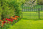 MORTON HALL GARDENS, WORCESTERSHIRE: LAWN, BORDER WITH HOT COLOURED FLOWERING TULIPS, SPRING, APRIL, BORDERS