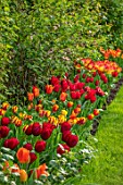MORTON HALL GARDENS, WORCESTERSHIRE: LAWN, BORDER WITH HOT COLOURED FLOWERING TULIPS, SPRING, APRIL, BORDERS, RED, YELLOW, ORANGE