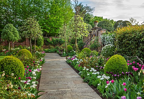 MORTON_HALL_GARDENS_WORCESTERSHIRE_BORDERS_IN_THE_SOUTH_GARDEN_SPRING_APRIL_TULIPS_WALLED_GARDENS