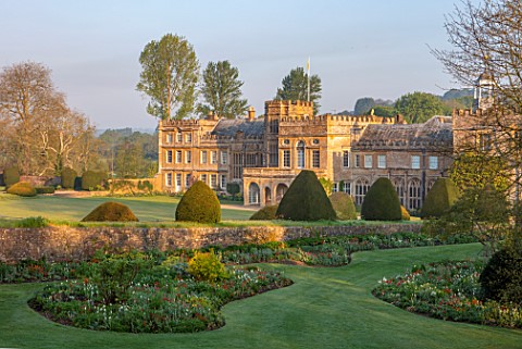 FORDE_ABBEY_SOMERSET_THE_ABBEY_AT_DAWN_MORNING_LIGHT_SUNRISE_APRIL_SPRING