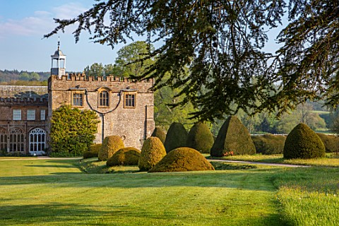 FORDE_ABBEY_SOMERSET_THE_ABBEY_AT_DAWN_MORNING_LIGHT_SUNRISE_APRIL_SPRING_YEW_CLIPPED_TOPIARY