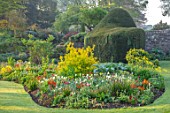 FORDE ABBEY, SOMERSET: BORDER OF TULIPS IN THE ROCK GARDEN IN SPRING, APRIL, YEW HEDGES, LAWN, TAXUS, HEDGING, BORDERS
