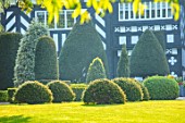 HALL O TH WOOD, CHESHIRE: HOUSE, LAWN, SPRING, APRIL, CLIPPED, TOPIARY, SHAPES, GREEN, YEW, TAXUS
