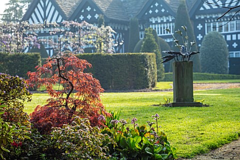 HALL_O_TH_WOOD_CHESHIRE_HOUSE_LAWN_SPRING_APRIL_CLIPPED_TOPIARY_SHAPES_GREEN_YEW_TAXUS_MAPLE_ACERS_S