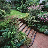 TIMBER DECKING AND BRICK STEPS EDGED WITH RAILWAY SLEEPERS WITH EVERGREEN FOLIAGE EITHER SIDE.  DESIGNER:VICTOR SHANLEY