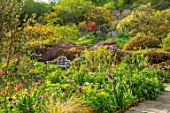 GRAVETYE MANOR, SUSSEX: COUNTRY GARDEN, APRIL, SPRING, BORDER WITH TULIPS, WOODEN BENCH, SEATS, HILLSIDE, SLOPES, SLOPING, AZALEAS
