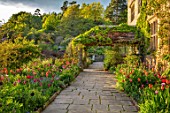 GRAVETYE MANOR, SUSSEX: COUNTRY GARDEN, APRIL, SPRING, PATH, BORDER WITH TULIPS, EVENING LIGHT