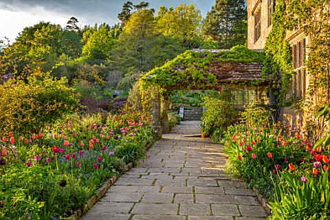 GRAVETYE_MANOR_SUSSEX_COUNTRY_GARDEN_APRIL_SPRING_PATH_BORDER_WITH_TULIPS_EVENING_LIGHT