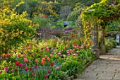 GRAVETYE MANOR, SUSSEX: COUNTRY GARDEN, APRIL, SPRING, PATH, BORDER WITH TULIPS, EVENING LIGHT