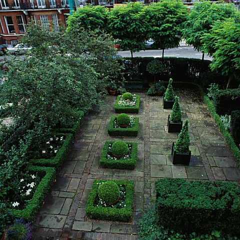 SQUARE_BOX_HEDGES__BOX_DOMES_CONICAL_BOX_IN_VERSAILLE_TUBS_IN_AREA_OF_BRICKS__PAVING_STONES_DESIGNER