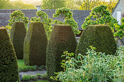 PRIVATE_GARDEN_GLOUCESTERSHIRE_CLIPPED_YEW_TAXUS_TOPIARY_IN_FRONT_GARDEN_MAY_SPRING_GREEN_COUNTRY_GA