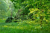 VILLAGE FARM HOUSE, GLOUCESTERSHIRE: MEADOW, WILDFLOWERS, SPRING, MAY, CLIPPED, TOPIARY, SHAPES, MAY, SRING, GREEN, TREEHOUSE, WOODLAND