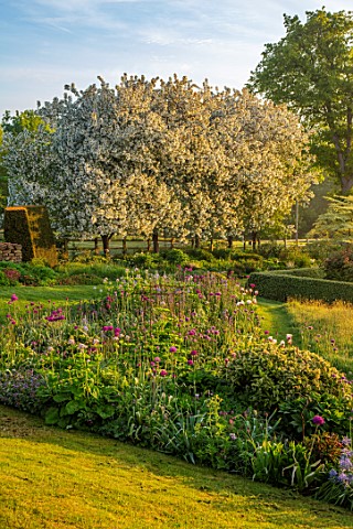 PETTIFERS_OXFORDSHIRE_DESIGNER_GINA_PRICE_SPRING_MAY_BORDER_WITH_ALLIUMS_WHITE_FLOWERING_BLOSSOMS_FL