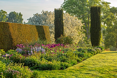 PETTIFERS_OXFORDSHIRE_DESIGNER_GINA_PRICE_BORDER_SPRING_MAY_YEW_TOPIARY_YEW_HEDGES_HEDGING_CAMASSIA_