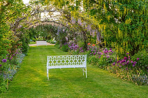 THE_MANOR_HOUSE_STEVINGTON_BEDFORDSHIRE_MAY_SPRING_WHITE_BENCH_SEAT_WISTERIA_LABURNUM_VOSSII_ARCH_AL
