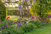 THE MANOR HOUSE, STEVINGTON, BEDFORDSHIRE: SPRING, MAY, EARLY MORNING, SUNRISE, WHITE METAL BENCH, SEATS, LABURNUM VOSSII, ARCH, ARCHWAY, ALLIUM PURPLE SENSATION, POPPIES