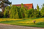 THE MANOR HOUSE, STEVINGTON, BEDFORDSHIRE: DRIVE, LAWN, BUTTERCUPS, PATH, SPRING, MAY, MEADOWS