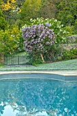 FONTHILL HOUSE GARDENS, WILTSHIRE: SWIMMING POOL, LILAC, SHRUBS, WATER, SPRING, MAY