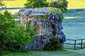 FONTHILL HOUSE GARDENS, WILTSHIRE: GARDEN BUILDING, SPRING, MAY, BLUE, PURPLE, WISTERIA