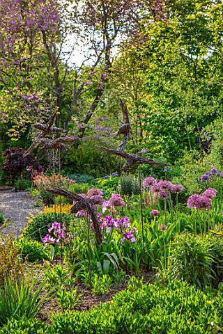 THE_PICTON_GARDEN_AND_OLD_COURT_NURSERIES_WORCESTERSHIRE_BORDER_MAY_SPRING_IRIS_AUTUMN_MARIPOSA__ALL