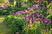 FONTHILL HOUSE GARDENS: SPRING, MAY, ENGLISH, COUNTRY, GARDENS, LAWN, BORDERS WITH ALLIUM PURPLE SENSATION, BULBS, PINK LUPINS