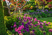 FONTHILL HOUSE GARDENS: SPRING, MAY, ENGLISH, COUNTRY, GARDENS, LAWN, BORDERS WITH ALLIUM PURPLE SENSATION, BULBS, YEW HEDGES, HEDGING