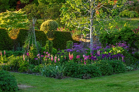 FONTHILL_HOUSE_GARDENS_SPRING_MAY_ENGLISH_COUNTRY_GARDENS_LAWN_BORDERS_WITH_ALLIUM_PURPLE_SENSATION_